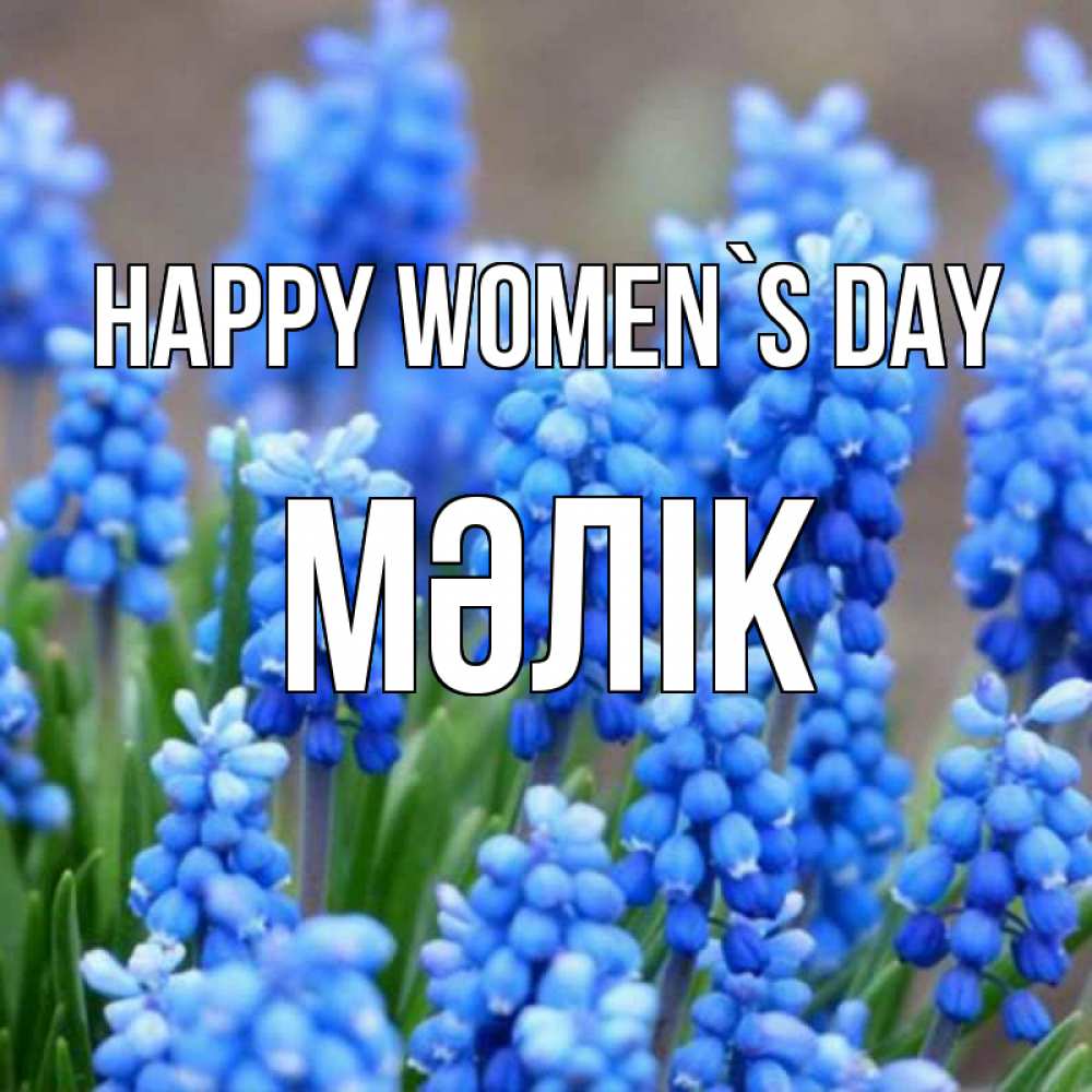 Greetings card с именем, МӘЛІК happy women`s day Поздравительная открытка для женщин с цветами на праздничную дату Greetings with text for free download 
